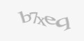 Защитный код